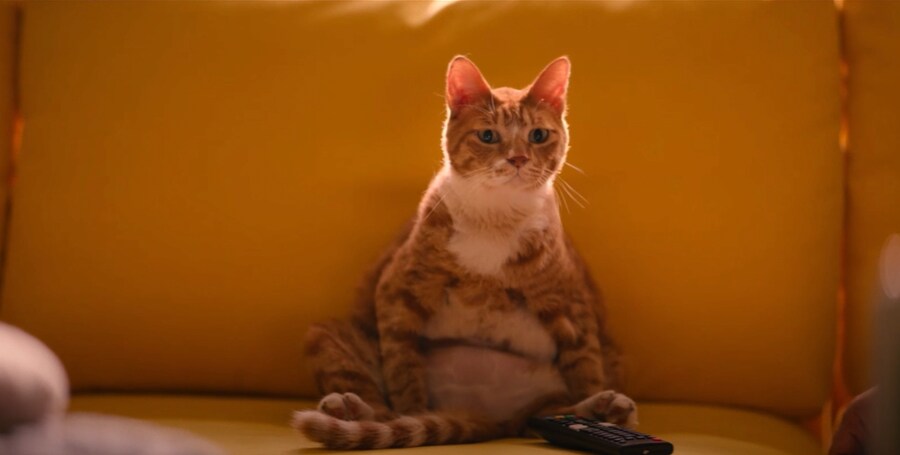 영화 '좀비딸' 웹툰 원작 영화 배우들_9.png