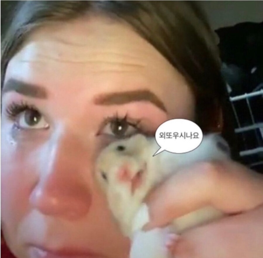 img/25/05/23/196f8cbca0555605c.jpg?icon=4351