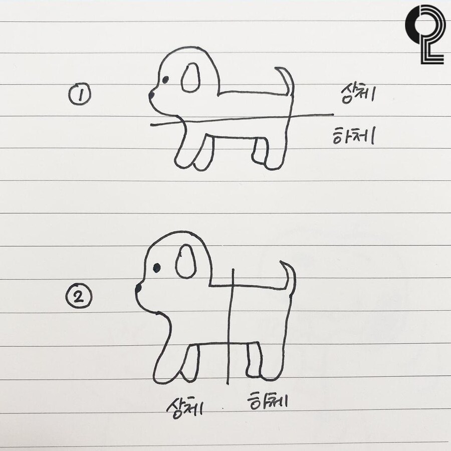 강아지 상하체 구분_1.png