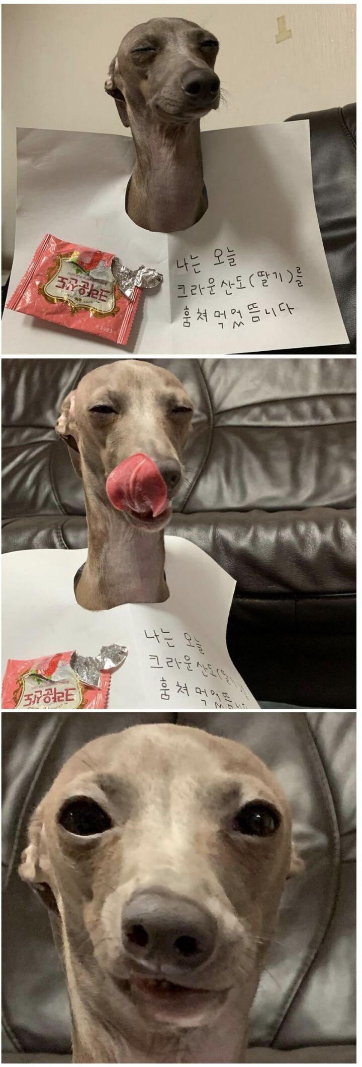 나는 오늘 크라운산도를 훔쳐 먹었뜸니다_1.jpg