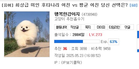 많은 유게이들이 노체 안쓰는 다른 커뮤도 못가는 이유_1.png