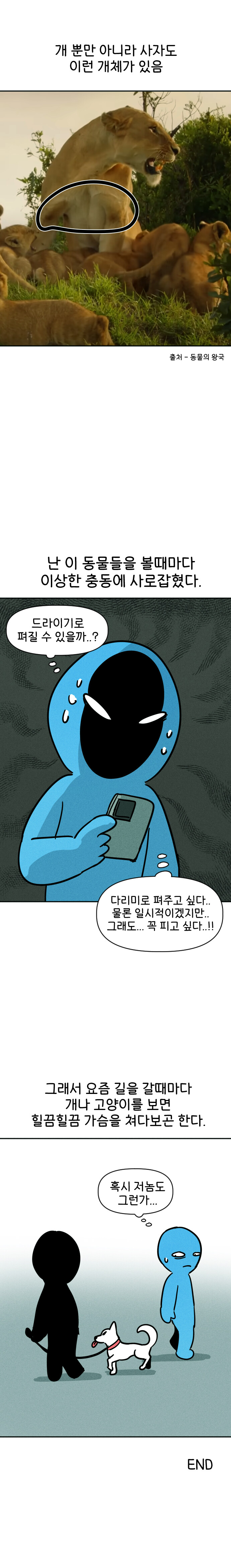 개털 특이한 점_6.jpg