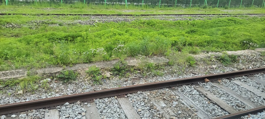 어제 휴일이라 대곡역에서 교외선을!_13.jpg