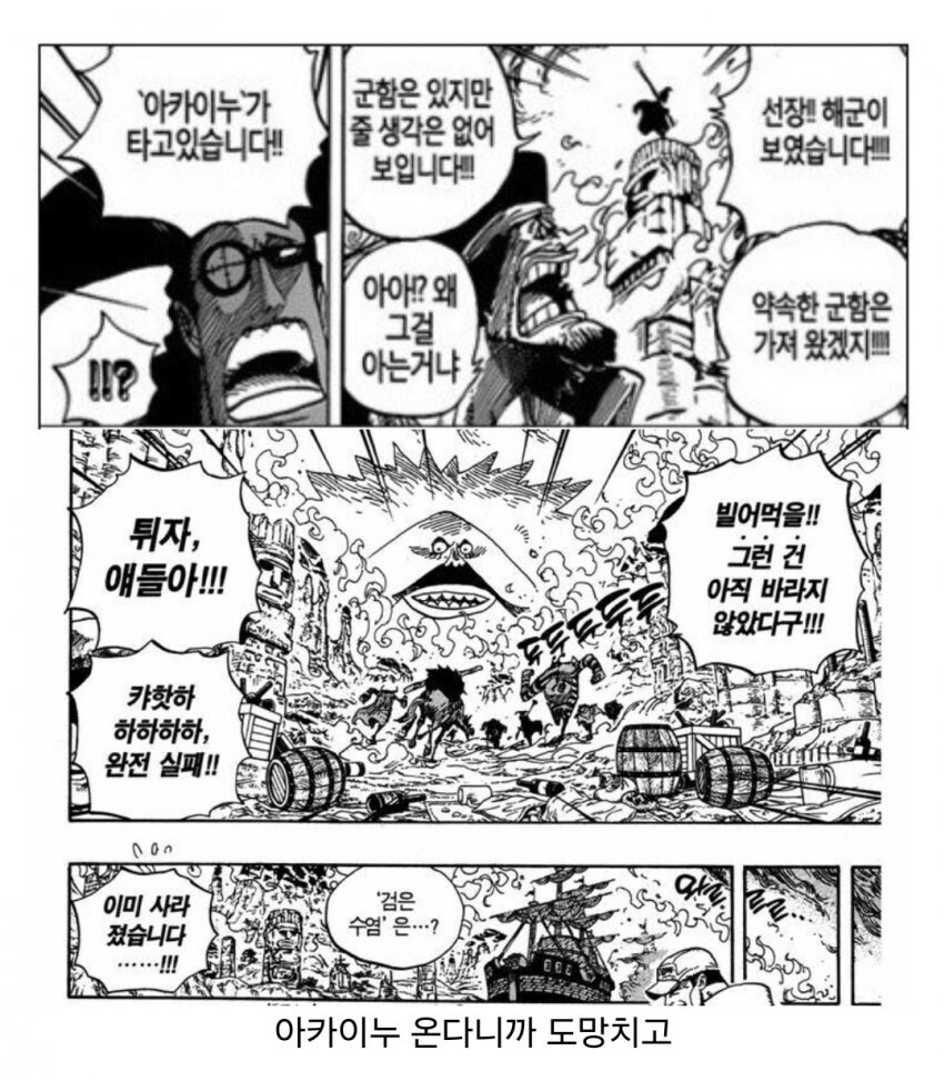 전투력 강한지 의문인 원피스 빌런 캐릭터.jpg_5.jpg