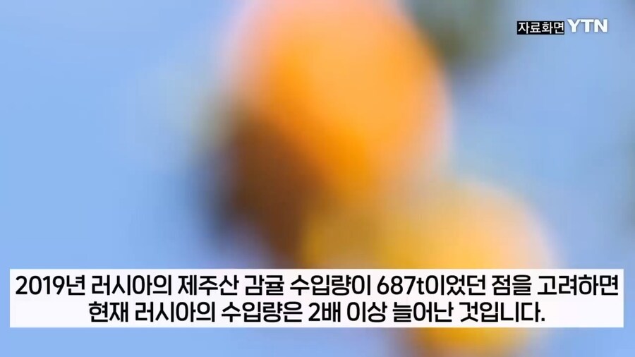 러시아도 못참는 한국의 맛_7.jpg