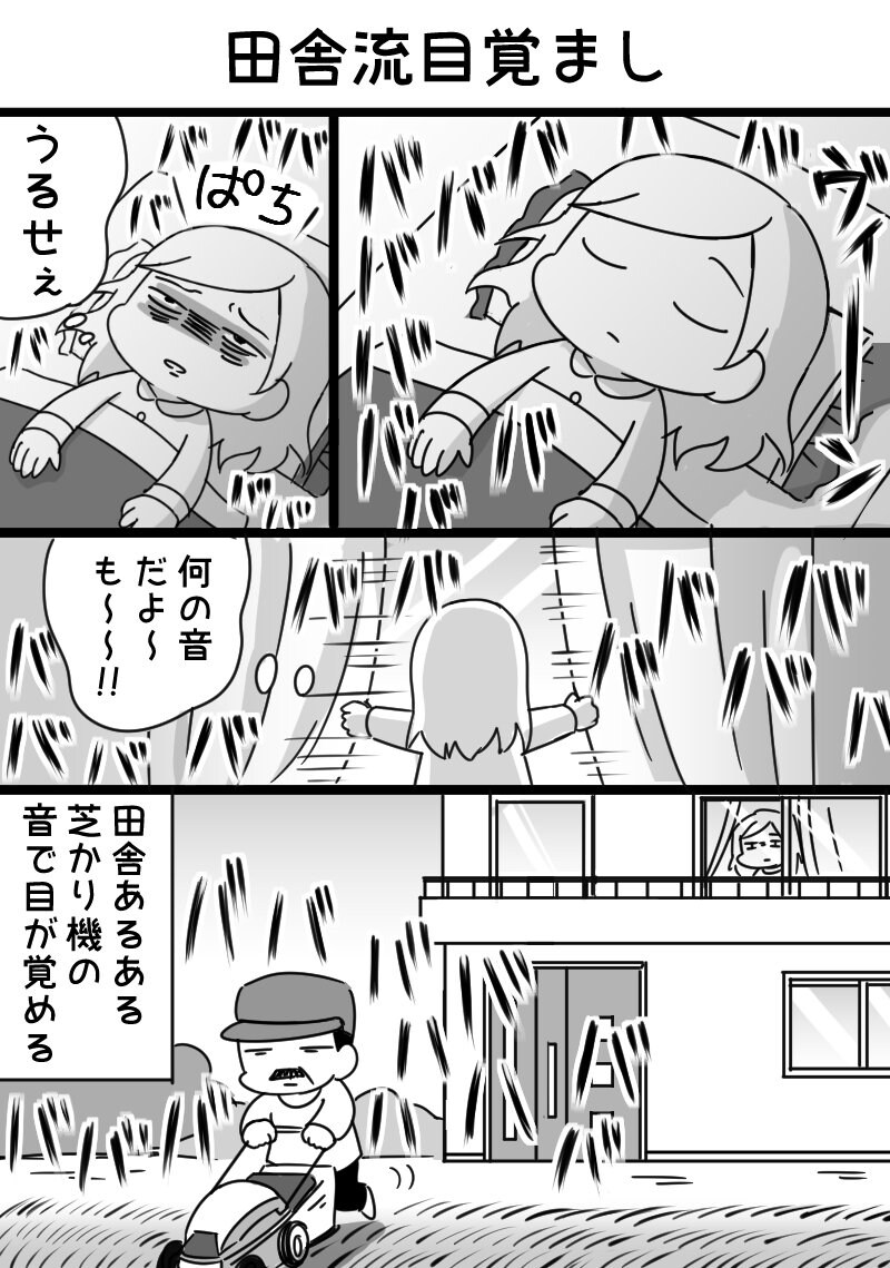 시끄러운 도시를 떠나 시골을 찾은 결과_2.jpg