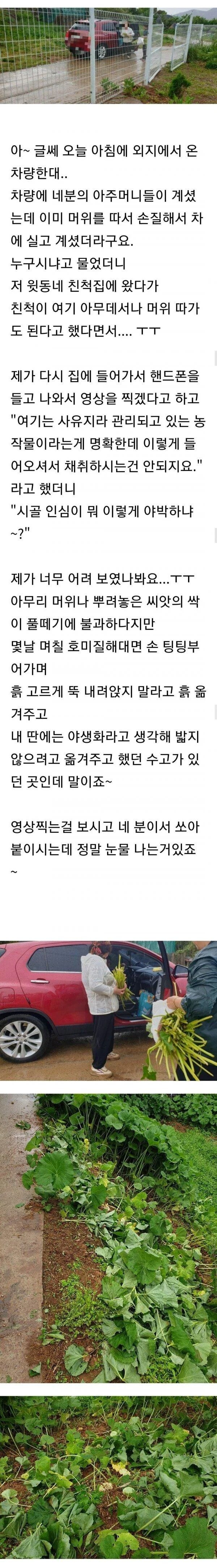 시골 인심 강요당한 사람.jpg