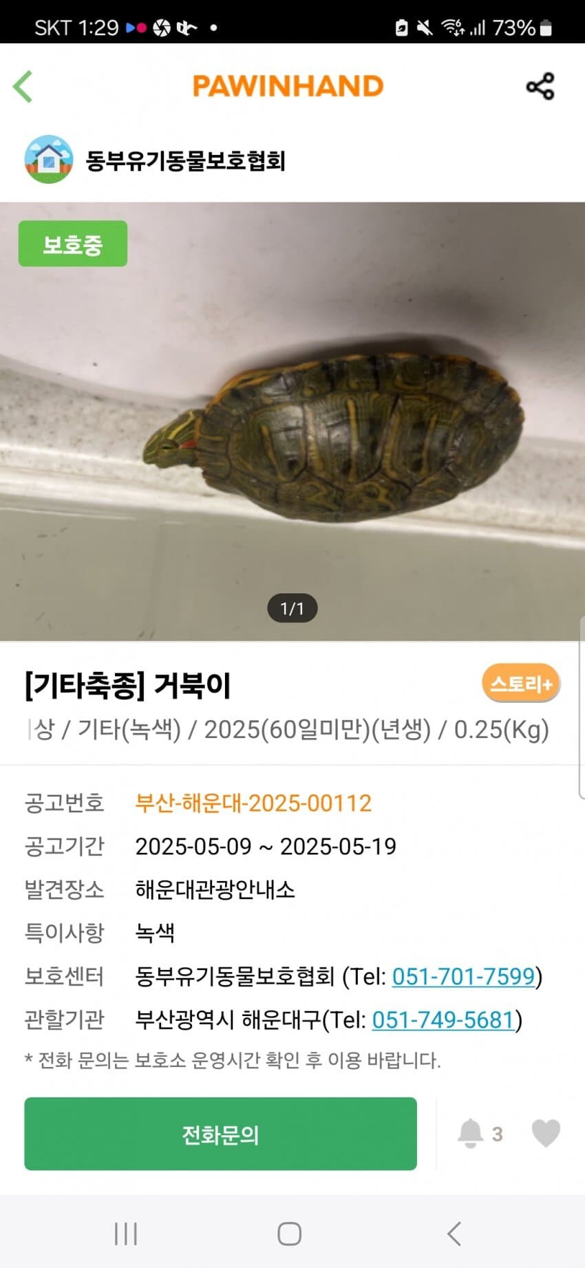 흔한 유기동물 보호소의 입양 공고_4.jpg