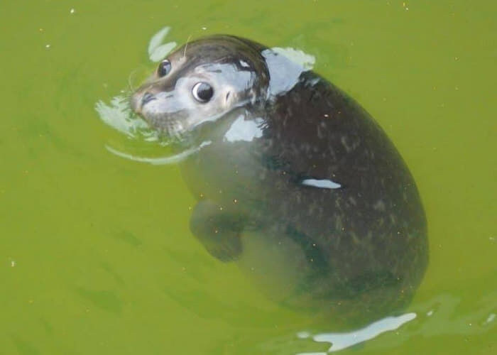 유게 씹어먹는 국내 최대 규모의 영화 커뮤니티_1.jpg