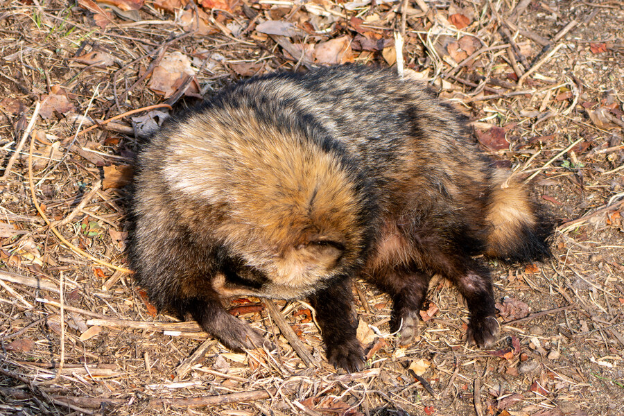3월달 서서울호수공원 탐조_7.jpg