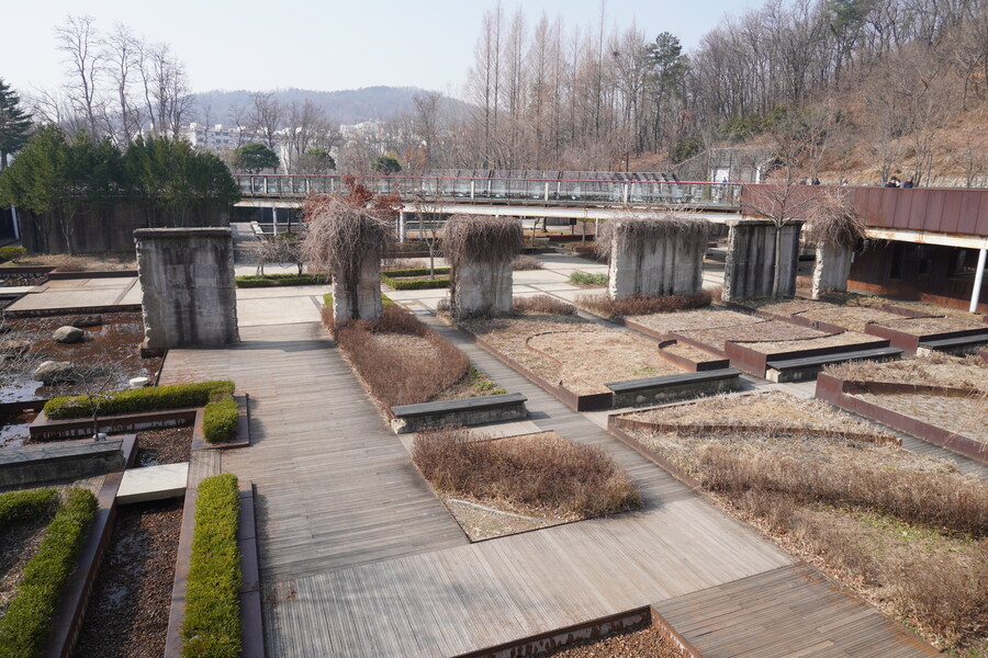 3월달 서서울호수공원 탐조_16.jpg