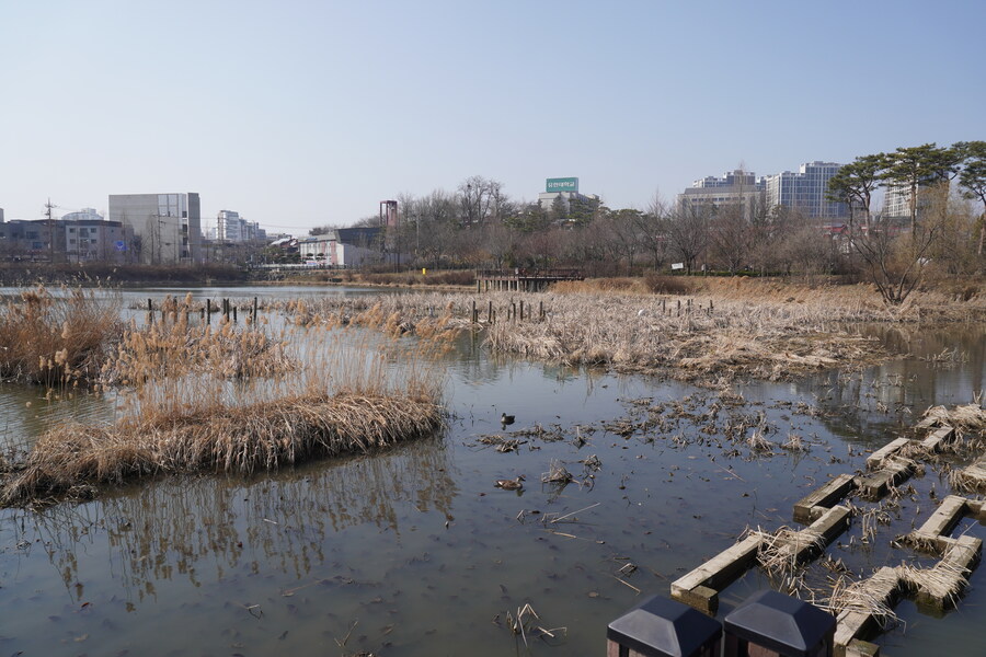 3월달 서서울호수공원 탐조_40.jpg