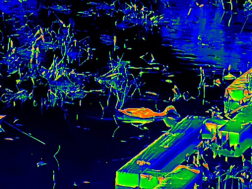 3월달 서서울호수공원 탐조_44.jpg