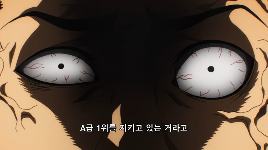 [원피스 외]강자들이 승진할 수 있는데도 안 하는 이유(스포)_13.png