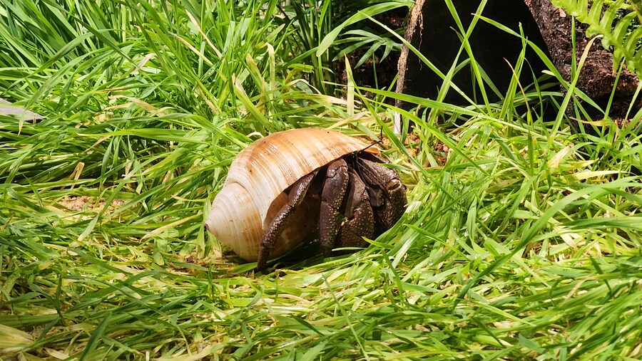 소라게 감성 카페를 준비 중입니다.^^_1.jpg