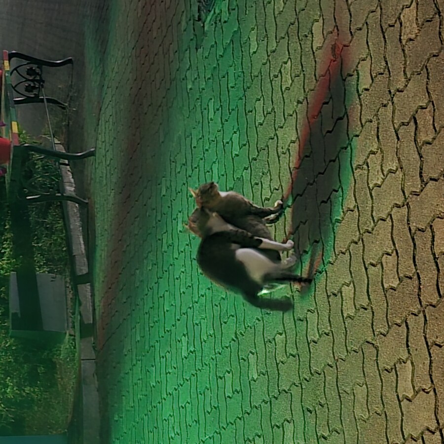 해양수산자원연구소 다녀온 후기_5.jpg