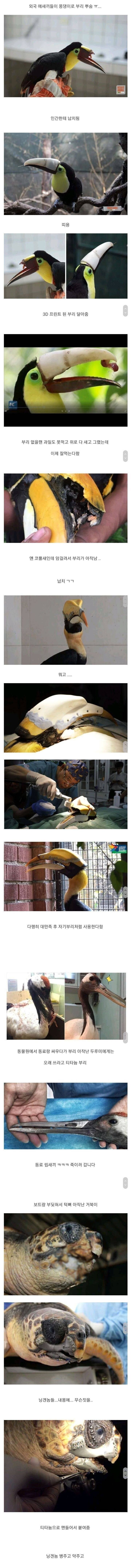 납치되서 눈떠보니 이상한거 달아줌_1.jpg