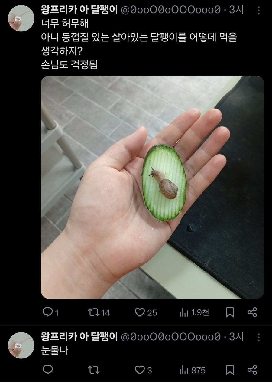 손님에게 귀엽다고 보여드렸더니 먹어버렸어요._4.jpg