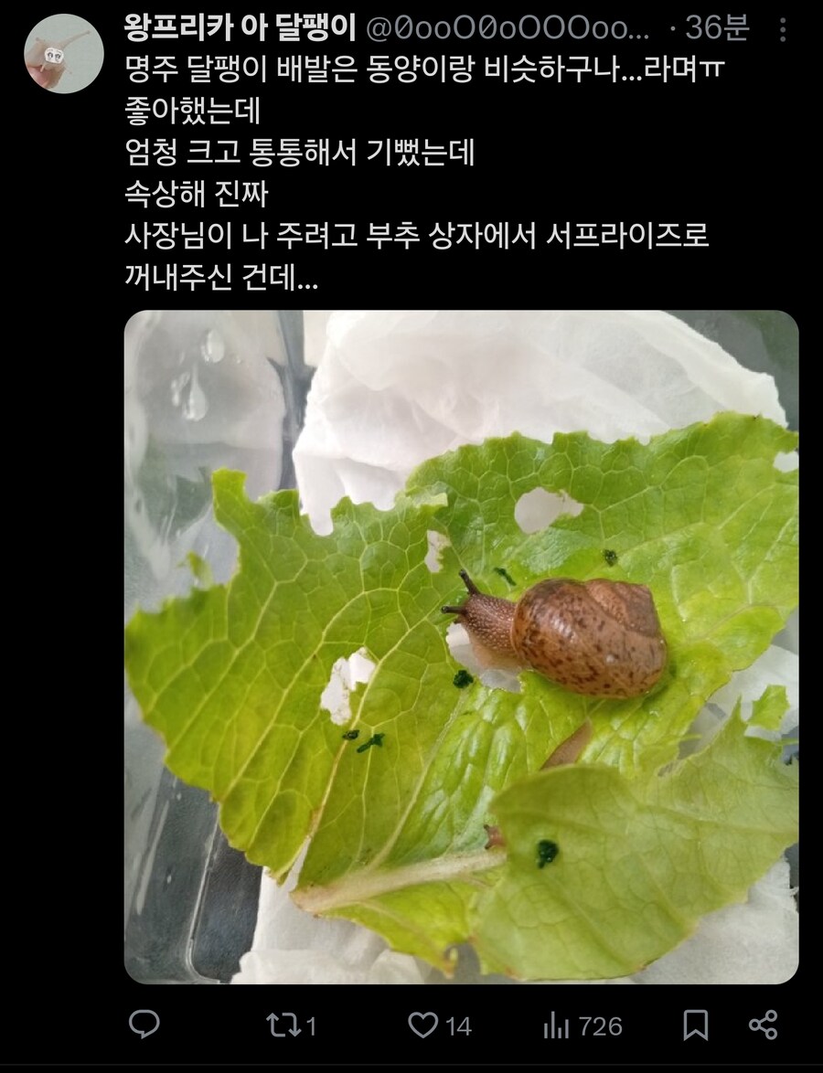손님에게 귀엽다고 보여드렸더니 먹어버렸어요._6.jpg