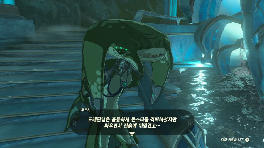 젤다의 전설 티어즈 오브 더 킹덤_4.png