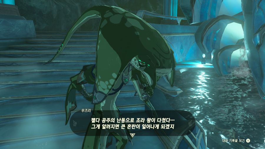 젤다의 전설 티어즈 오브 더 킹덤_6.png