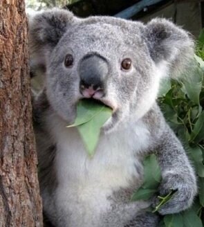 창세기전) 모바일 이너 월드 스토리 - 두 여신의 이야기 - (스압) (스포)_20.jpg