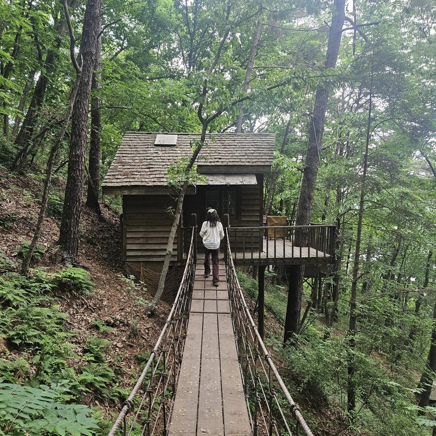 친구 아빠가 만든 트리하우스 ㄷㄷ.jpg_5.jpg