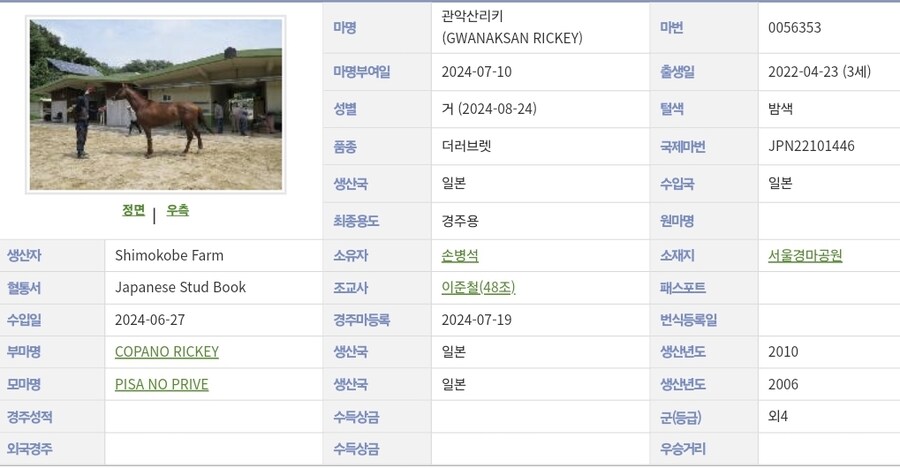 K-경마, 말딸) 한국에 최초로 도입된 코파노 리키의 자마, 이번 주에 데뷔_2.jpg