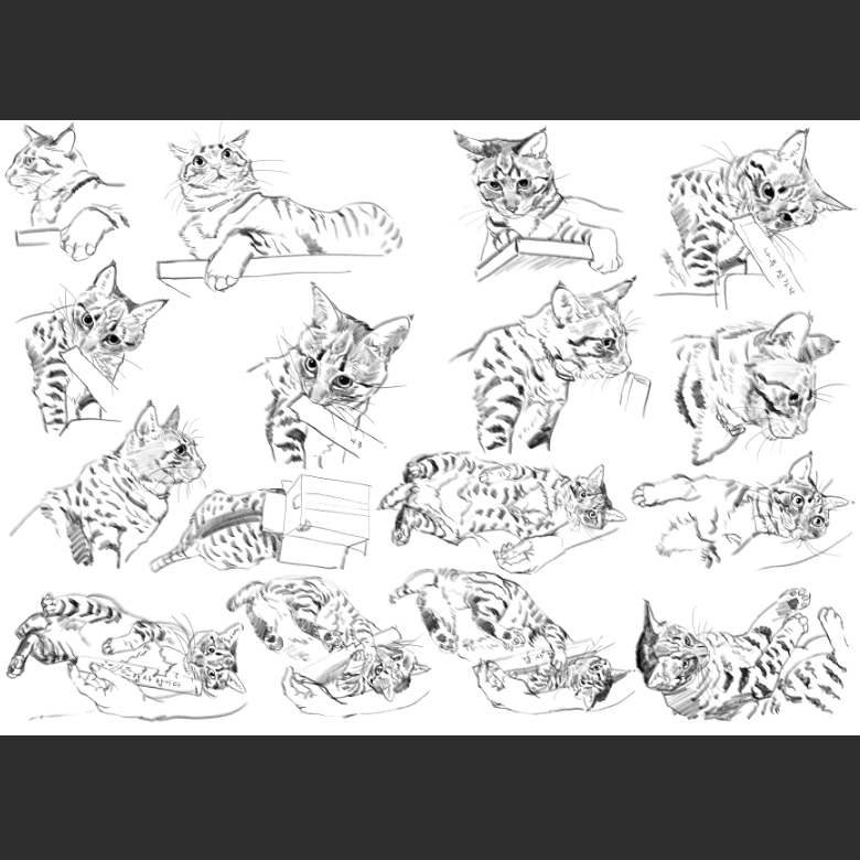 우리집 고양이그림 보고가셈_10.png