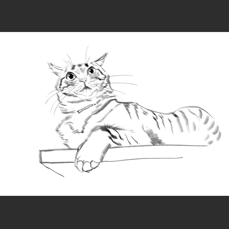 우리집 고양이그림 보고가셈_1.png