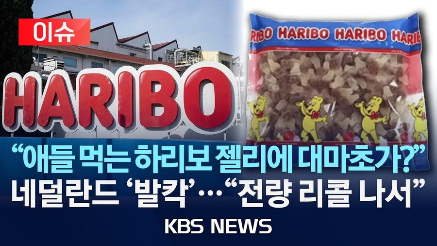 하리보 근황