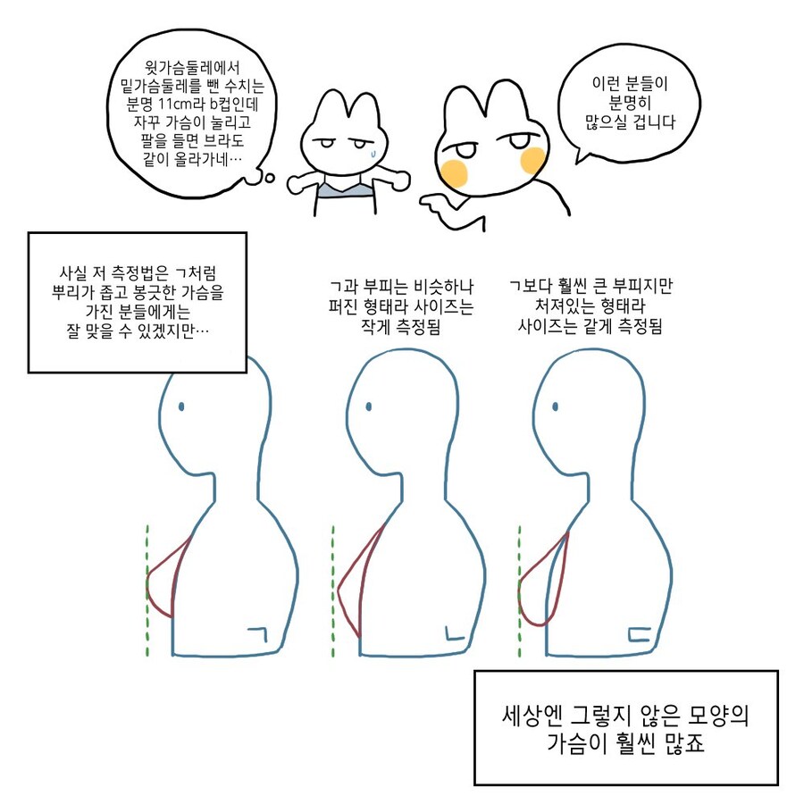 우리가 여자 가슴 크기를 보는 걸로 알 수 없는 이유