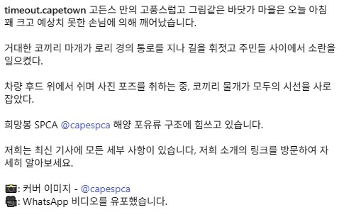남아공 케이프타운 길거리..._1.jpg
