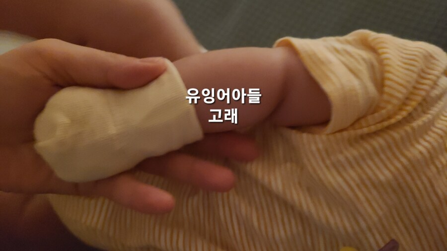 오늘자 유부녀의 TMI