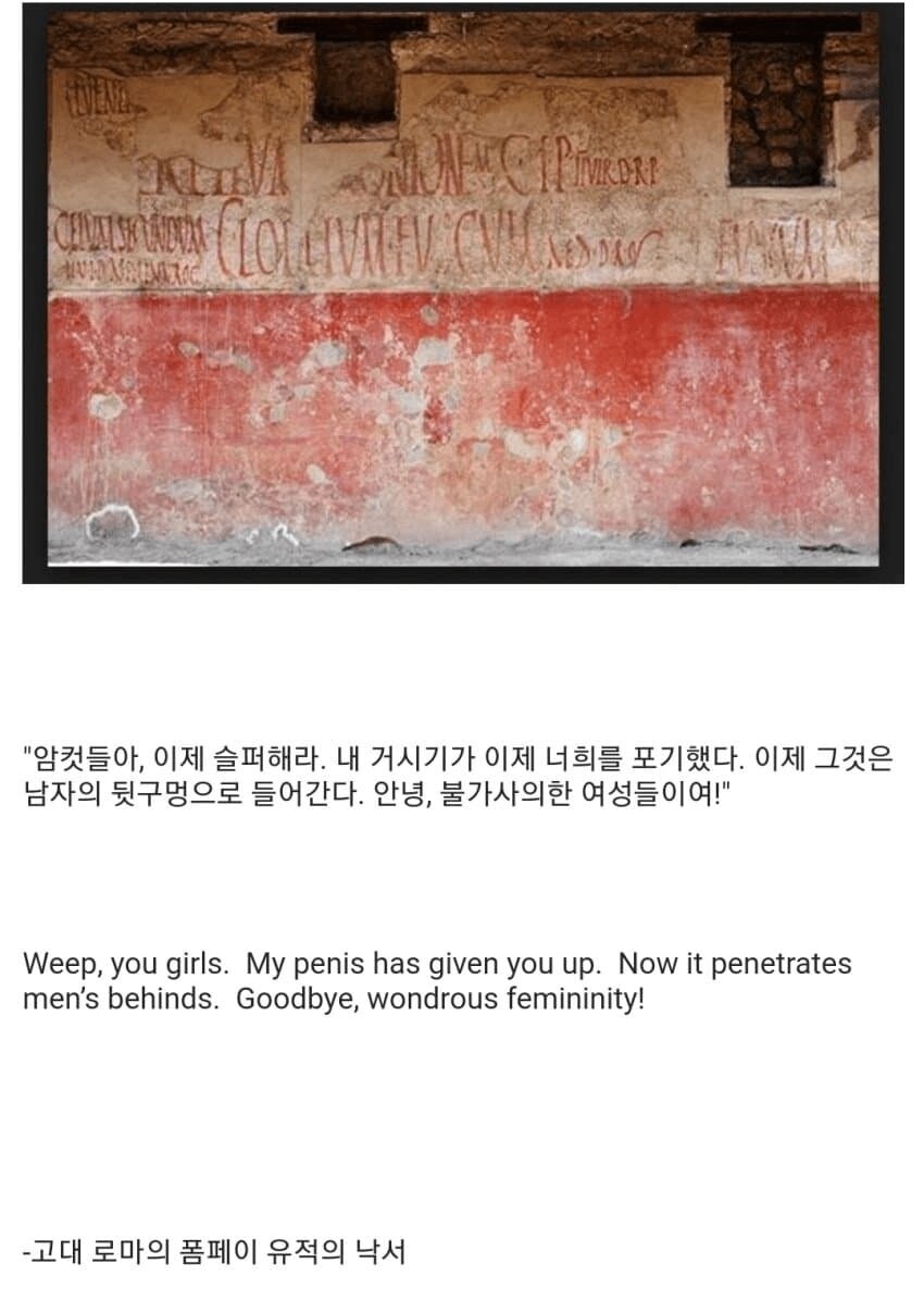 베수비오 폭발로 인해 보존된 로마시대 문구_1.jpg