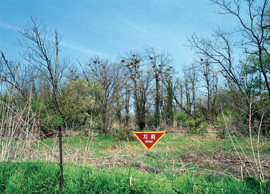 억울하게 징벌부대에 좌천된게 행운이었던 어느 게임 주인공.JPG_1.jpg