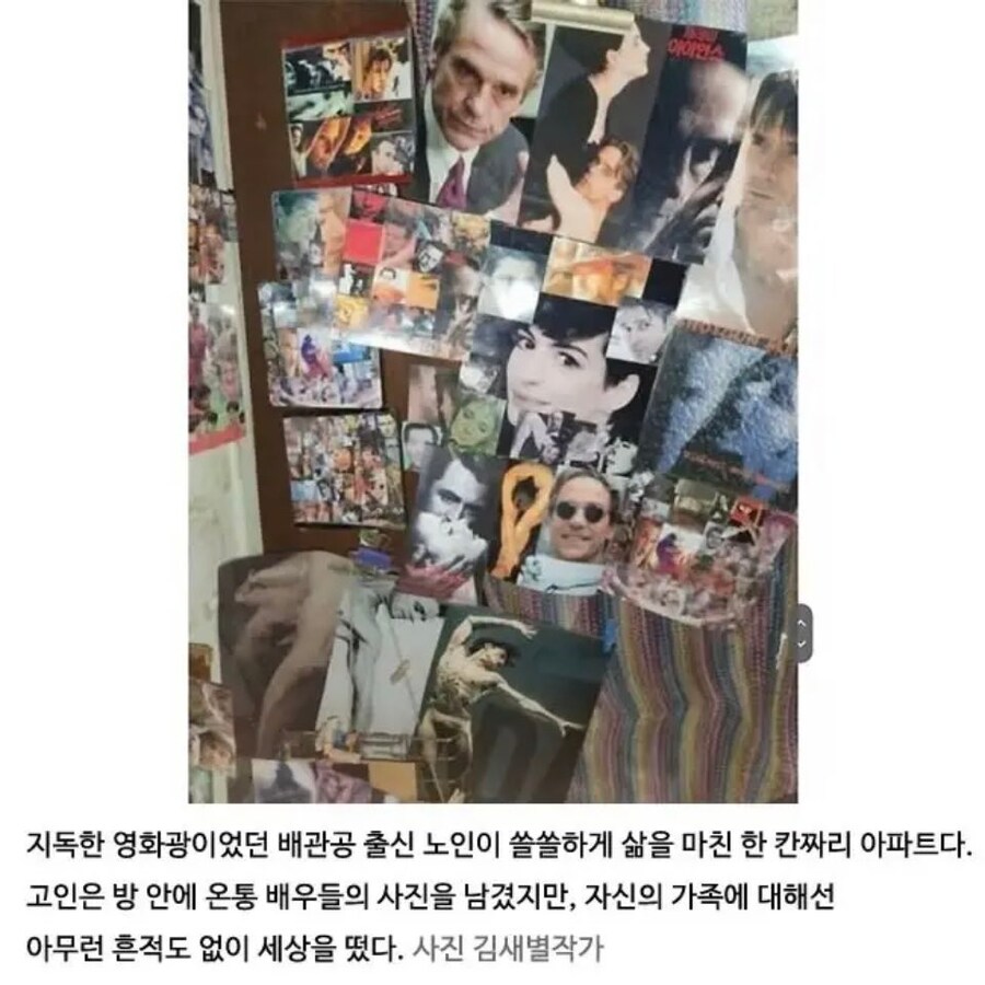 어느 영화 매니아의 마지막.jpg_3.png