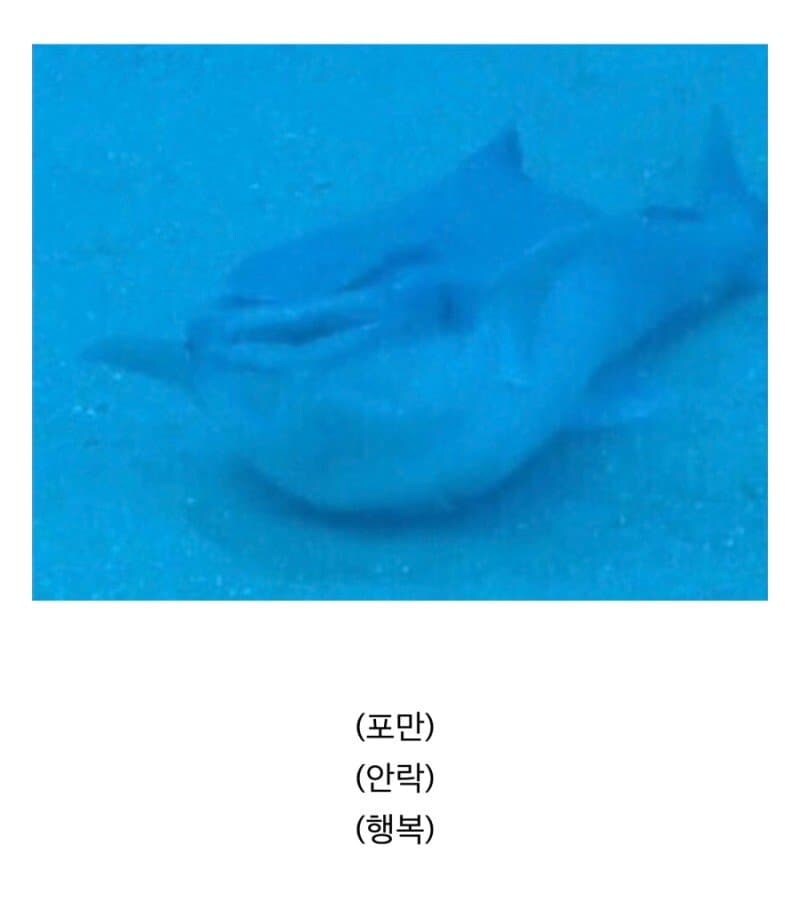 인간 덕분에 꿀빨고 있는 생물.jpg_3.jpg