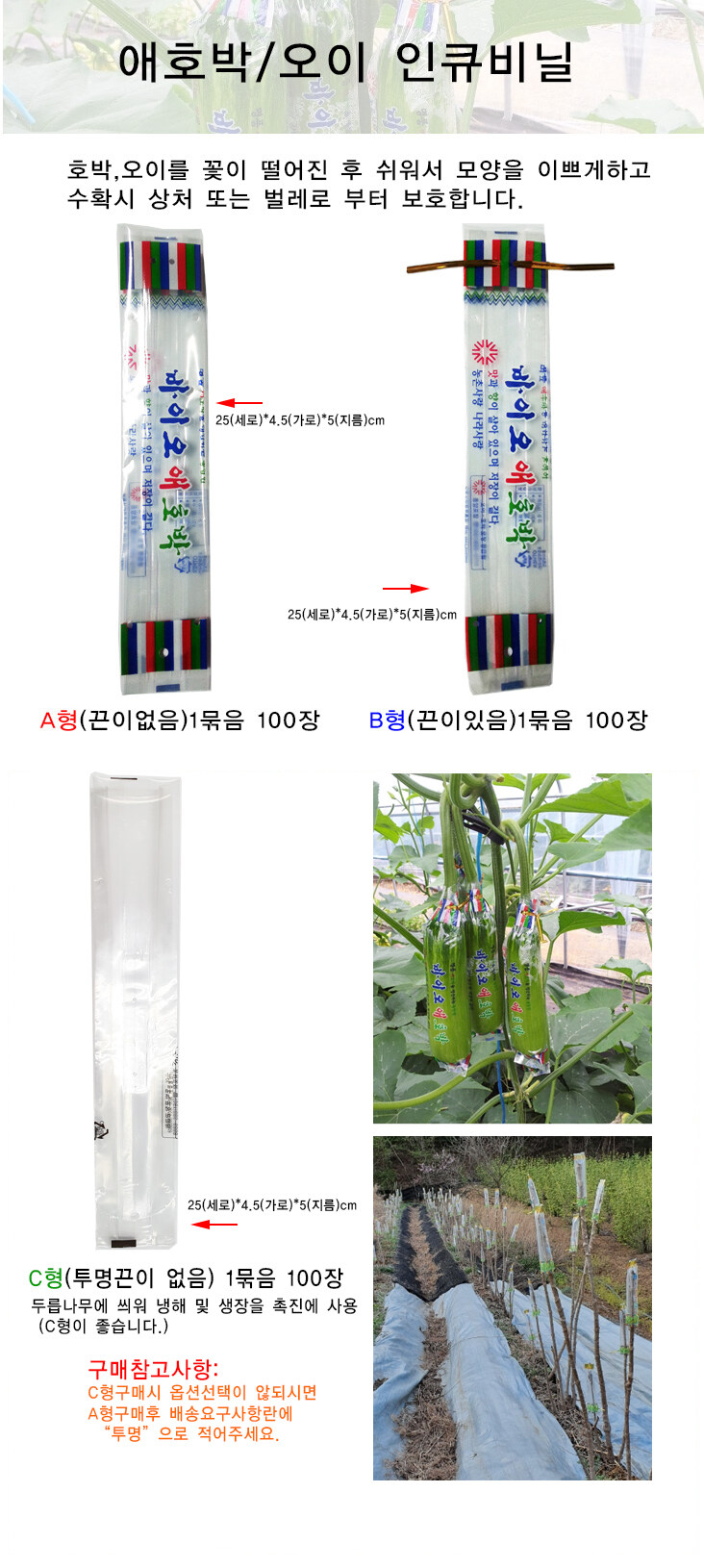 사람들은 잘 모르는 애호박의 진실...._2.jpg