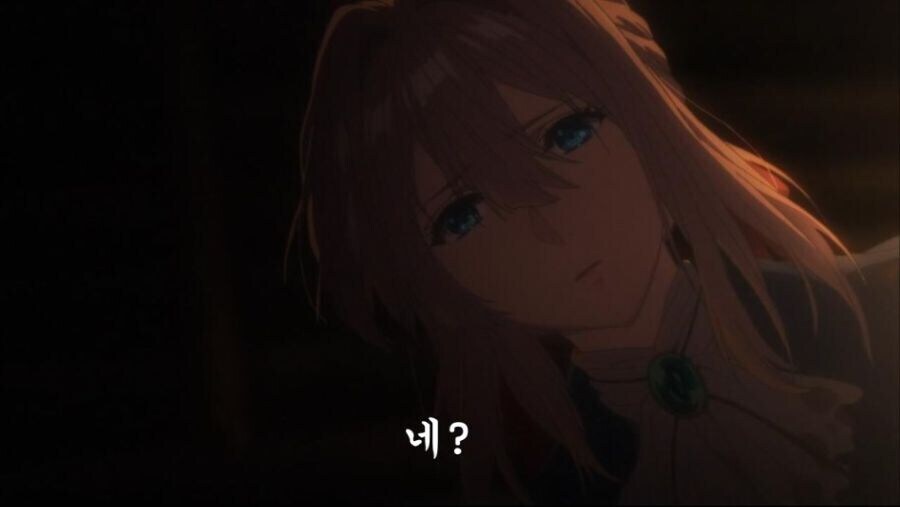 바이올렛에버가든)루리웹에서 왜곡당한 에피소드_1.jpg