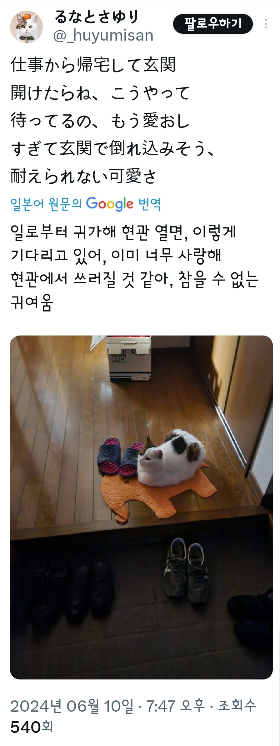 출퇴근시 마중해주는 동물들.jpg_2.jpg