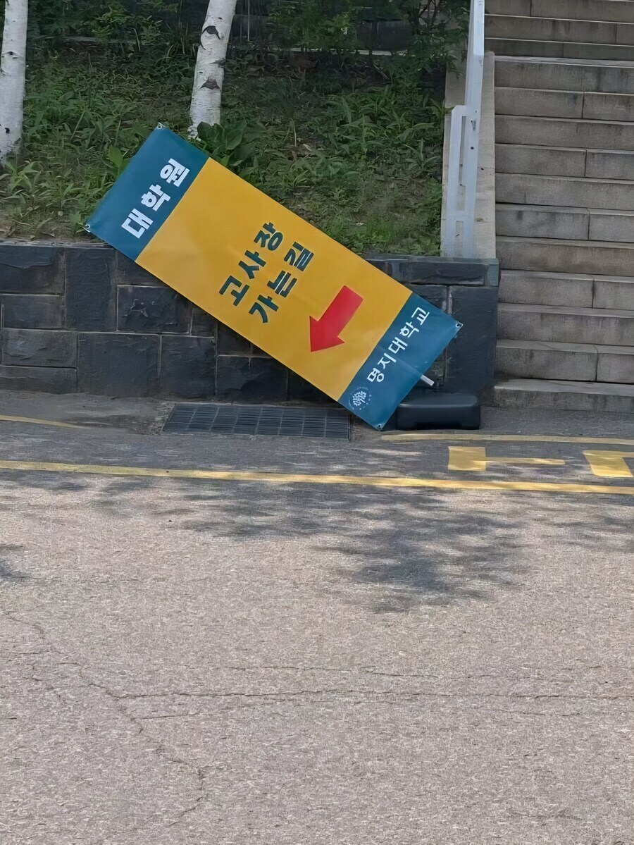 명지대 대학원 가는 길_1.jpg