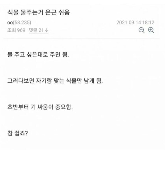 식물에 물 주는 주기랑 양 잘 모를 때 좋은 방법.jpg_2.png