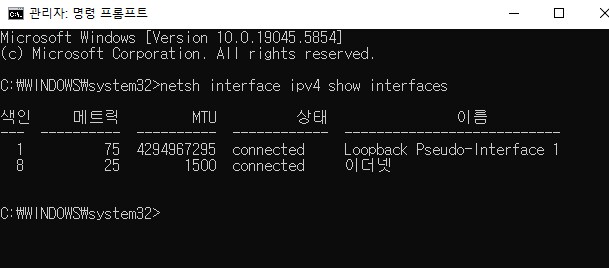 워싱턴D.C 와 브루클린DLC 이동시 무한 로딩 버그 깨알팁_1.png