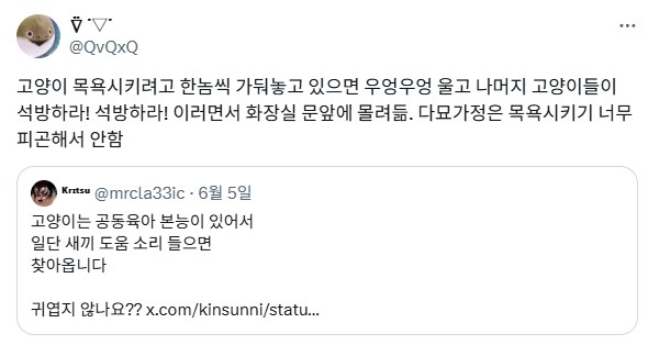 다묘가정에서 고양이 목욕시키기.jpg_1.png