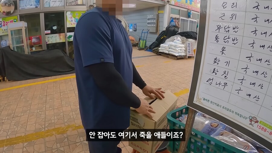 약혐) 무인도에 살아있는 닭 가져가기_9.png