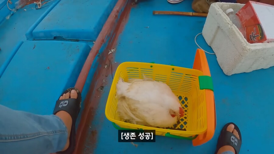 약혐) 무인도에 살아있는 닭 가져가기_20.png