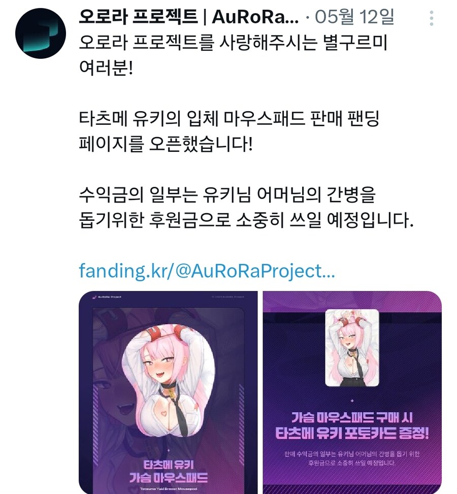 어머니가 혈액암에 걸렸다는 버튜버 근황_2.jpg