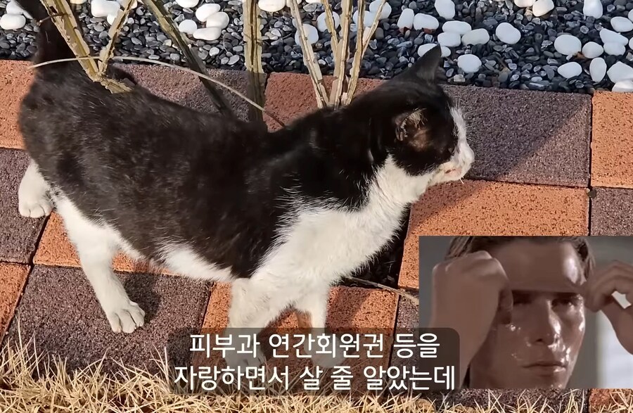 30대가 되면 자랑할 수 있는 스펙_4.jpg