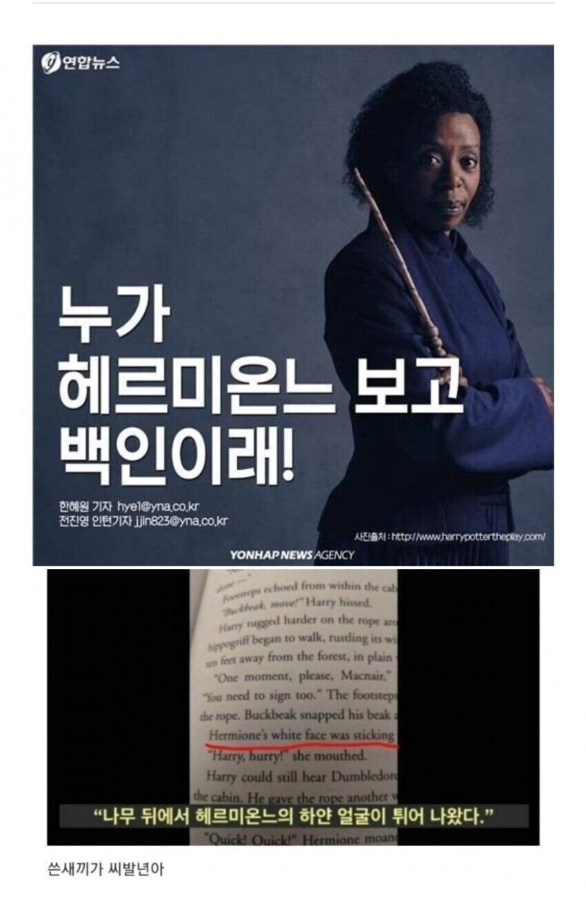 옛날에 헤르미온느 인종 관련 논란에서 봤던 경악했던 댓글